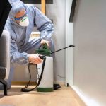 Exploring the Benefits of Small Group Ayahuasca Ceremonies